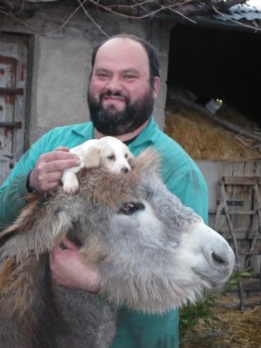 Éramos pocos... - Ya casi me había olvidado de cómo se subían las fotos,jeje. <BR> <BR>Bueno, pues os presento a la nueva inquilina del pueblo, la burrica Pilar, Pili pa los amigos. <BR>En este caso con Goyo, su dueño, y con un perro piojo en la cabeza. <BR> <BR>Me voy a comer, que va siendo hora. <BR> <BR>un saludo colacaos. - Fotolog